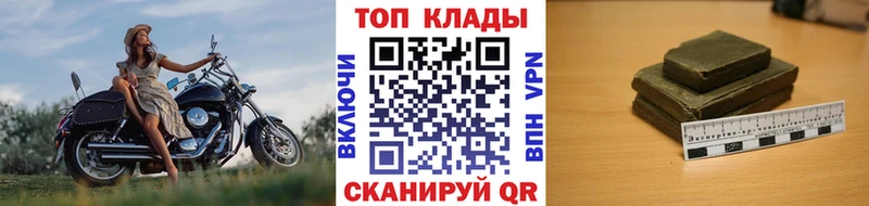 Где купить наркотики Всеволожск Канабис  Меф  СК  ГАШИШ  COCAIN 