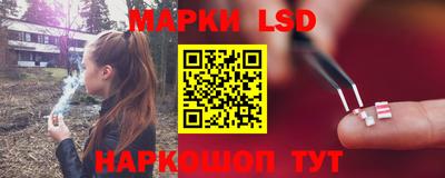 прущие крисы Бердск