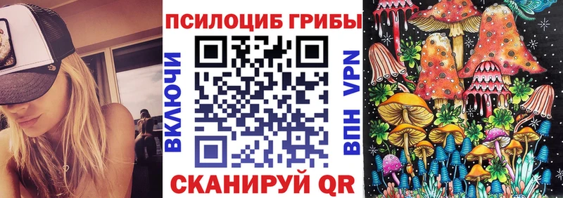 Псилоцибиновые грибы мухоморы  как найти закладки  Всеволожск 