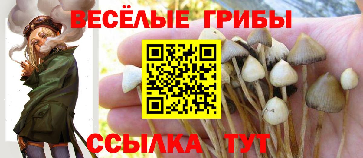Псилоцибиновые грибы прущие грибы Всеволожск