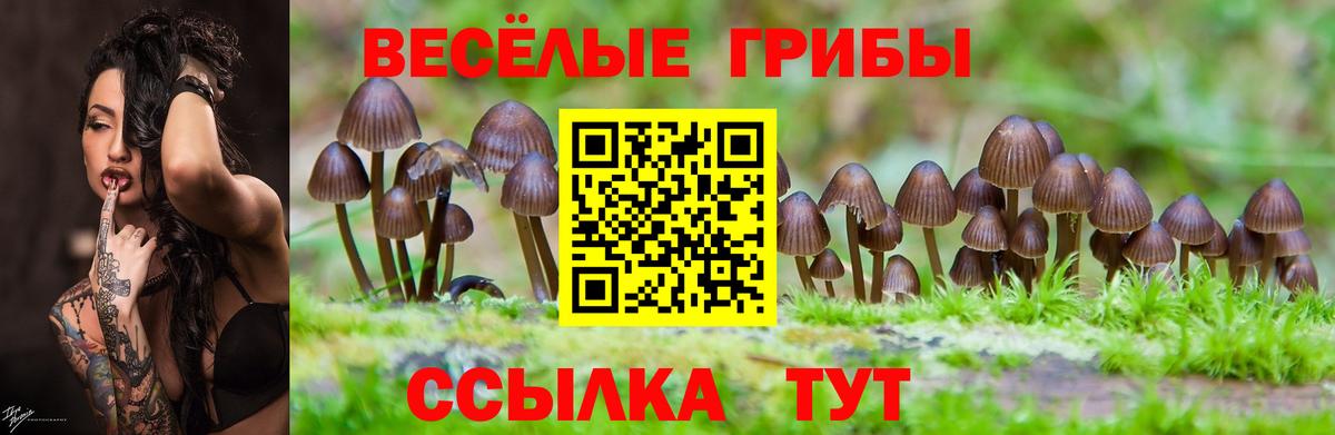 Всеволожск  Псилоцибиновые грибы ЛСД  Вход с VPN 